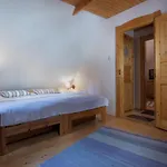 Traditional Cozy Bocanka Nizna Boca